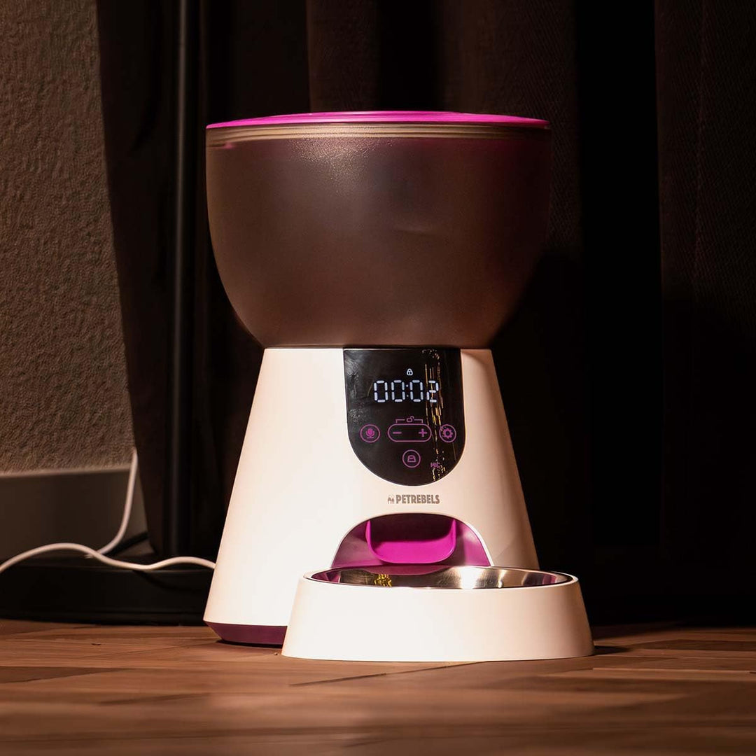 Petrebels Futterautomat Katze, Programmierbar, Mit Sprachaufnahme, 4 Liter, Touchscreen, Food-Expres