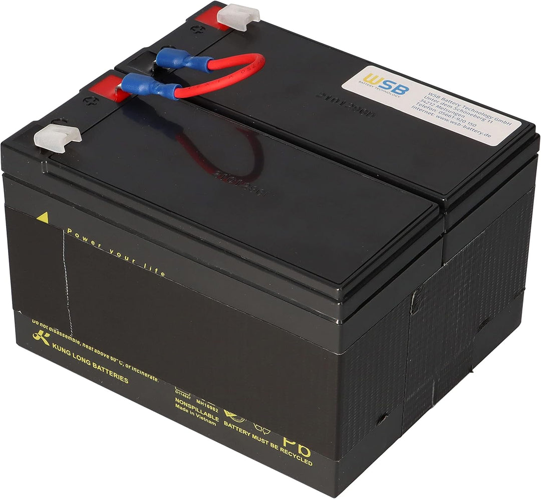 Akku kompatibel APC Back UPS RS 1200 1500 ersetzt RBC109