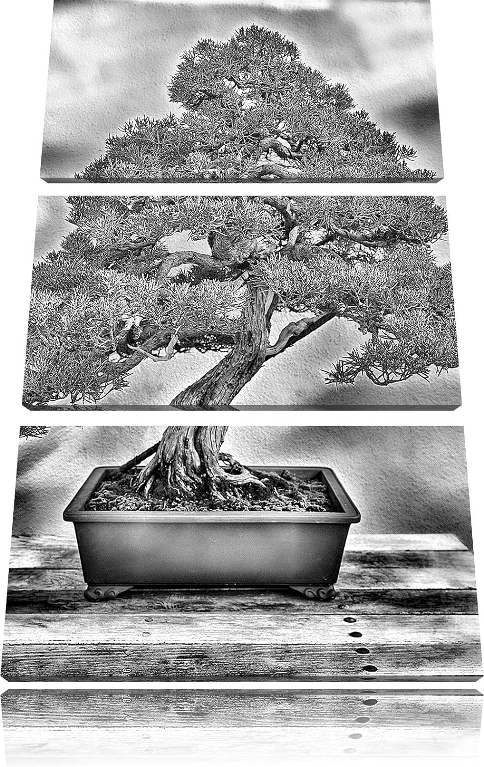 Pixxprint Bonsai Baum als Leinwandbild | Grösse: 3 Teilig (120x80) | Wandbild| Kunstdruck | fertig b