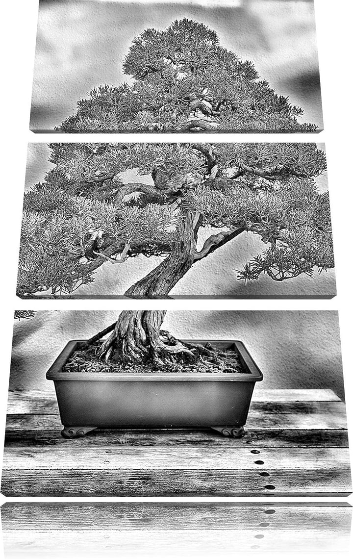 Pixxprint Bonsai Baum als Leinwandbild | Grösse: 3 Teilig (120x80) | Wandbild| Kunstdruck | fertig b