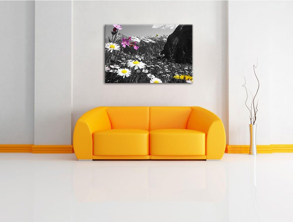 Pixxprint schöne Blumenwiese 100x70cm Leinwandbild Wandbild Kunstdruck, 100x70