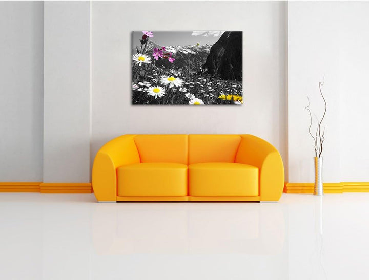 Pixxprint schöne Blumenwiese 100x70cm Leinwandbild Wandbild Kunstdruck, 100x70