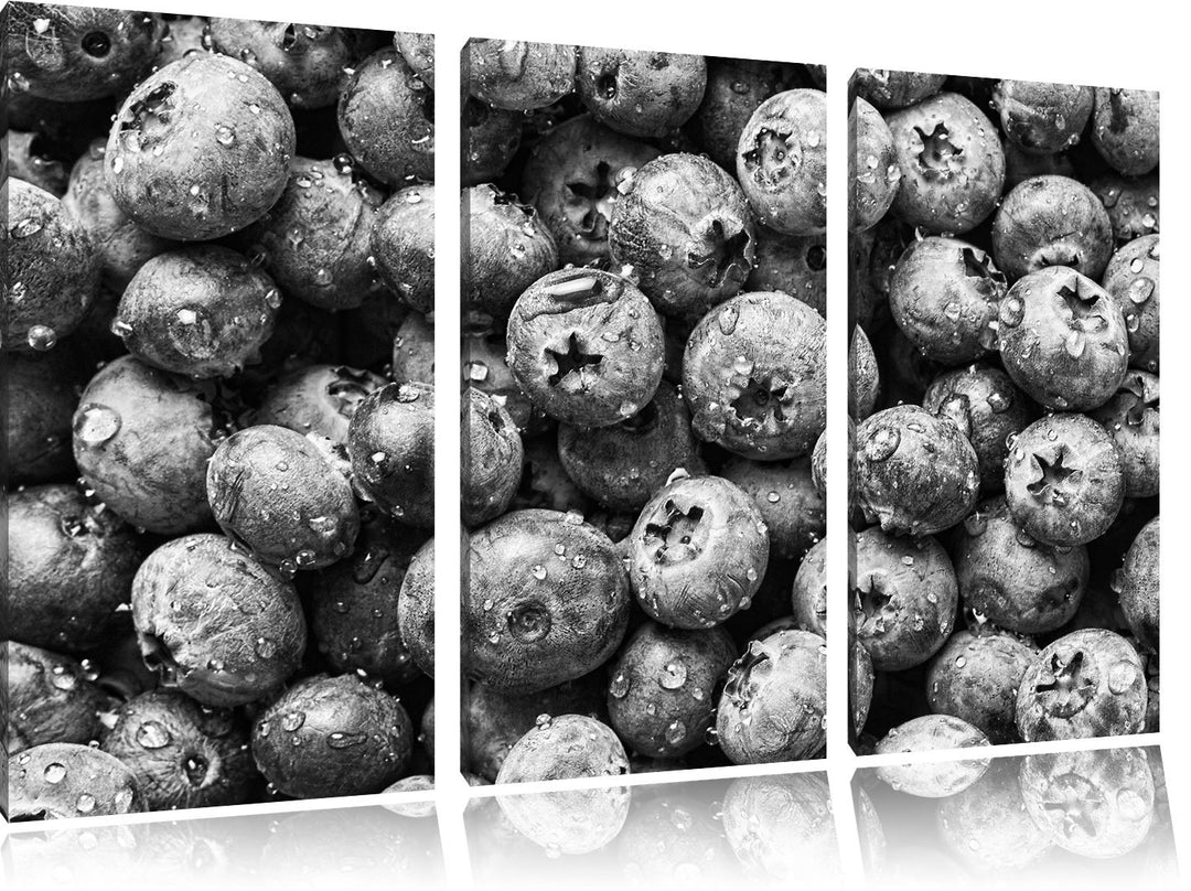 Pixxprint Blaubeeren mit Wassertropfen Kunst B&W 3-Teiler Leinwandbild 120x80 Bild auf Leinwand