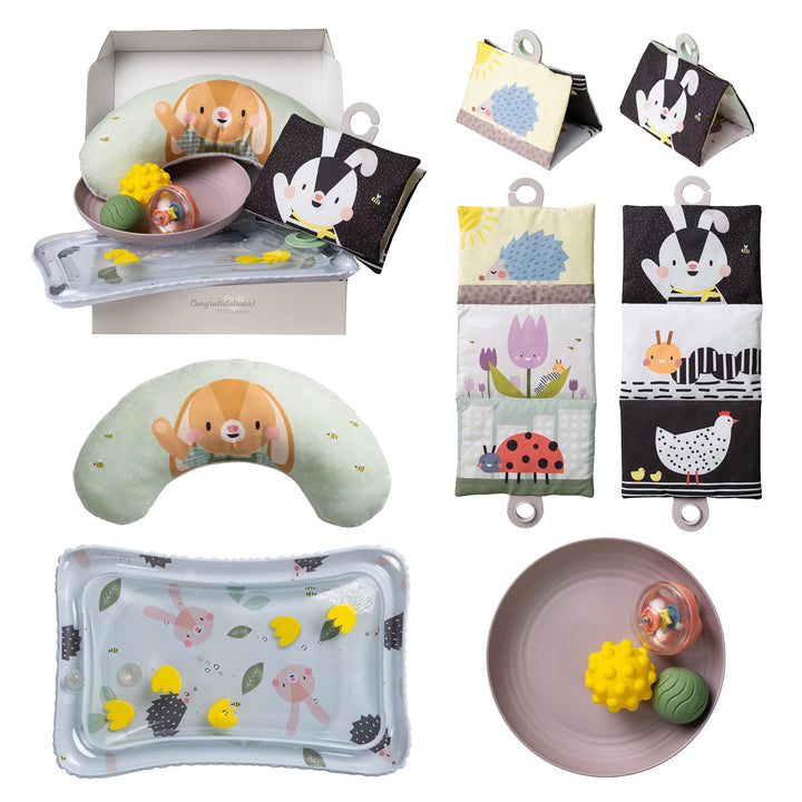 Taf Toys Tummy Time Kit