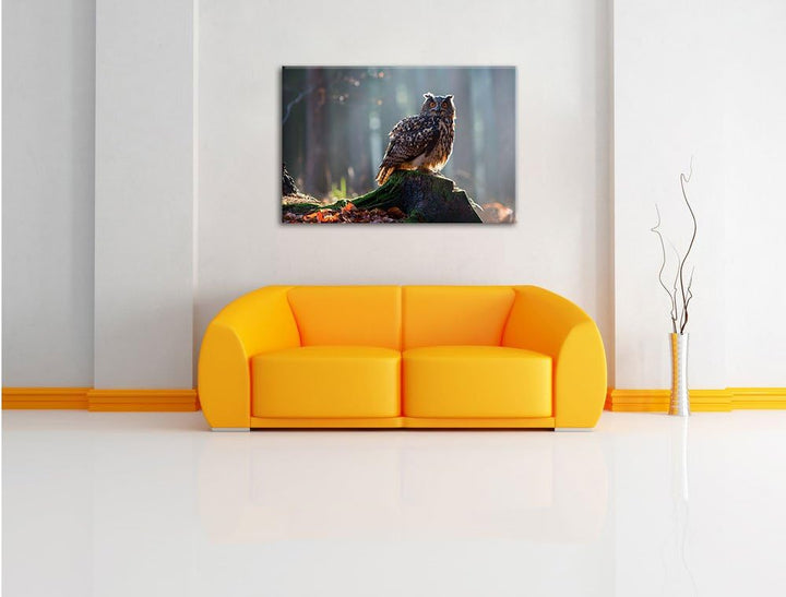 Pixxprint die Eule auf dem Baumstamm als Leinwandbild/Grösse: 100x70 cm/Wandbild/Kunstdruck/fertig b