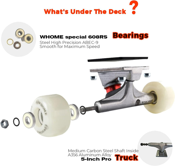 WHOME Pro Skateboards Komplett für Erwachsene/Kinder Mädchen/Jungen Anfänger/Profi - 31 x 8 Zoll Sta