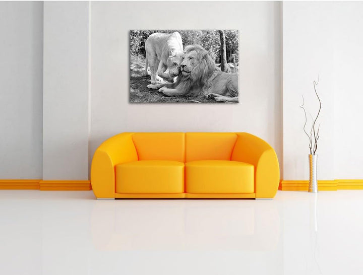 Pixxprint verliebtes Löwenpaar Kunst B&W als Leinwandbild/Grösse: 100x70 / Wandbild/Kunstdruck/ferti