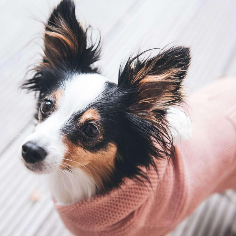 HUNTER RÖGLA Hundepullover, Strickpullover, weich, mit Kapuze, 25, rosa rosa 25, rosa 25