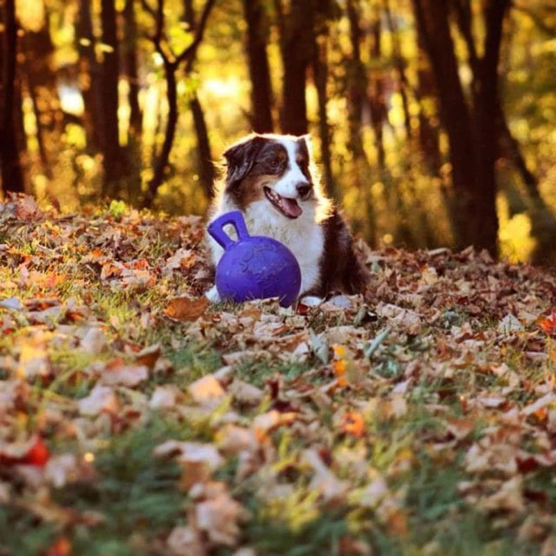 Jolly Pets JOLL047F Hundespielzeug - Tug-n-Toss, 25 cm, blau 25.40 cm Clear, 25.40 cm Clear