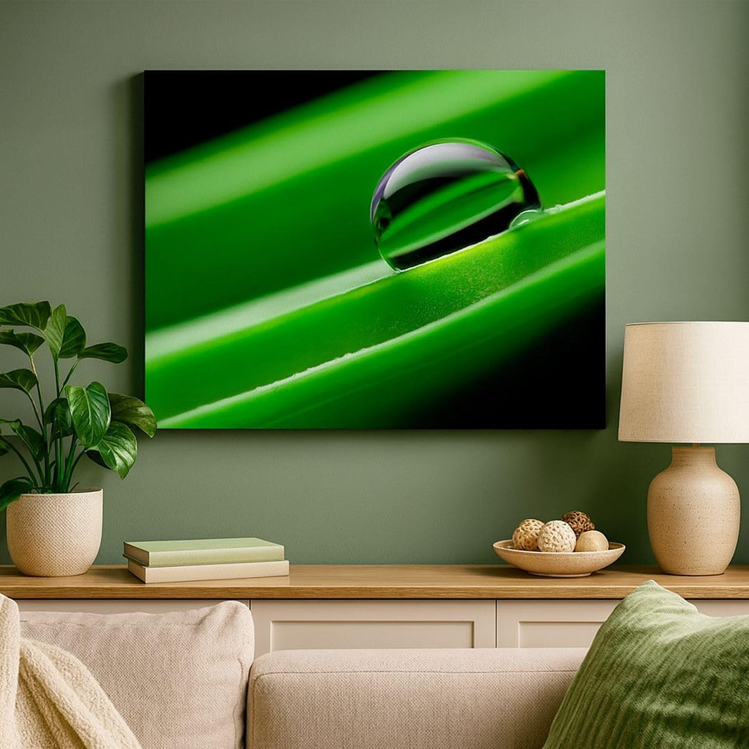 Bilder auf Leinwand 100x70cm Leinwandbild Pflanze Tropfen Wasser Blase Gross Wanddeko Bild Schlafzim