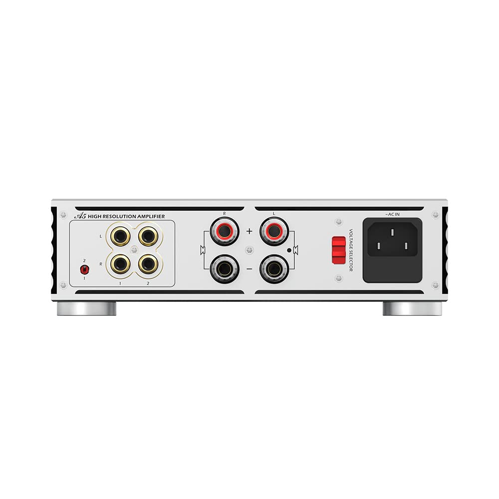 SABAJ A5 Leistungsverstärker mit zwei analogen Eingängen, ICEpower-Modul im Retro-Look, RCA*2-Eingan