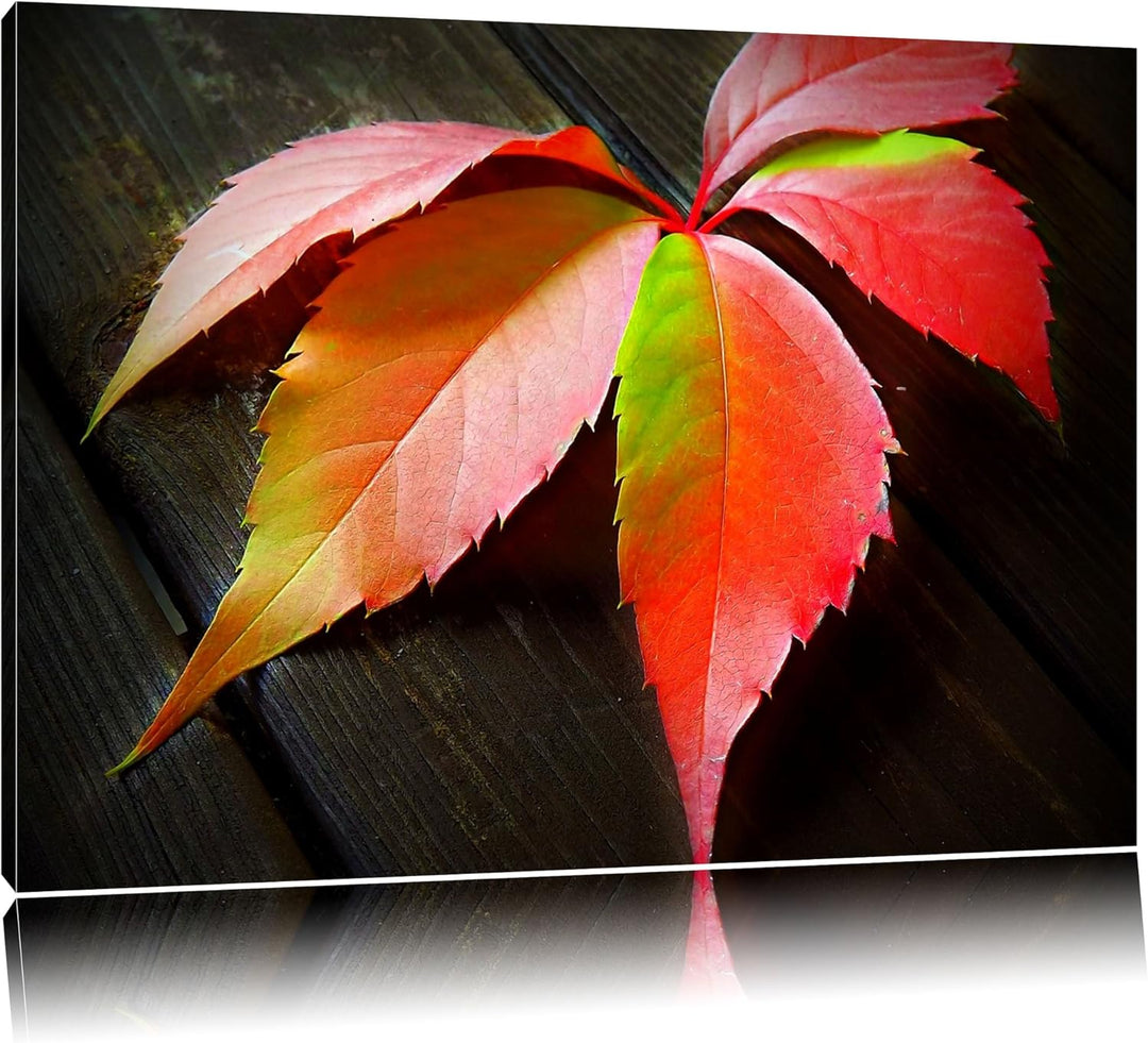 Pixxprint schönes Laubblatt auf Holz auf Leinwand, XXL riesige Bilder fertig gerahmt mit Keilrahmen,