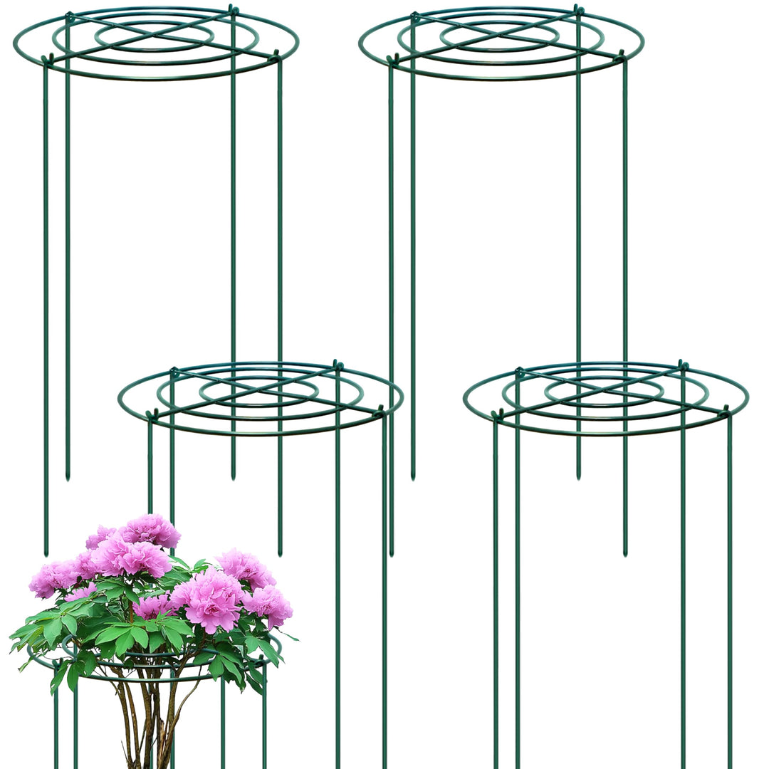 4 Stück Pfingstrosen Halterung/Pflanzringe Rund (30cm Ø x 60cm H) – Stabile Grüne Metall-Staudenhalt