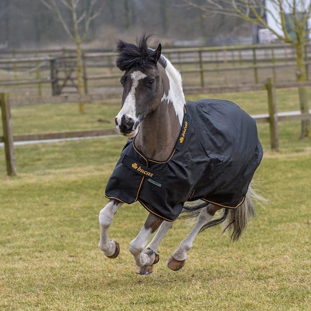 Bucas Irish Turnout Light 50g Classic 1200D - Pony - black/gold, Groesse:85, 85