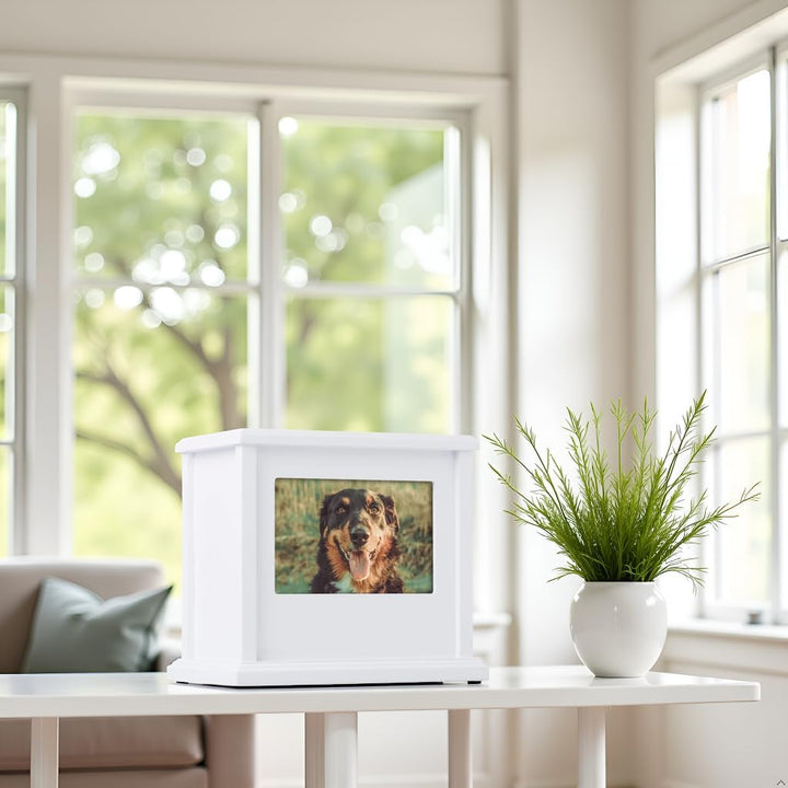 Pearhead 89050 Erinnerungsbox für Hunde oder Katzen, personalisierbar, Weiss Weisse Foto-Urne, Weiss