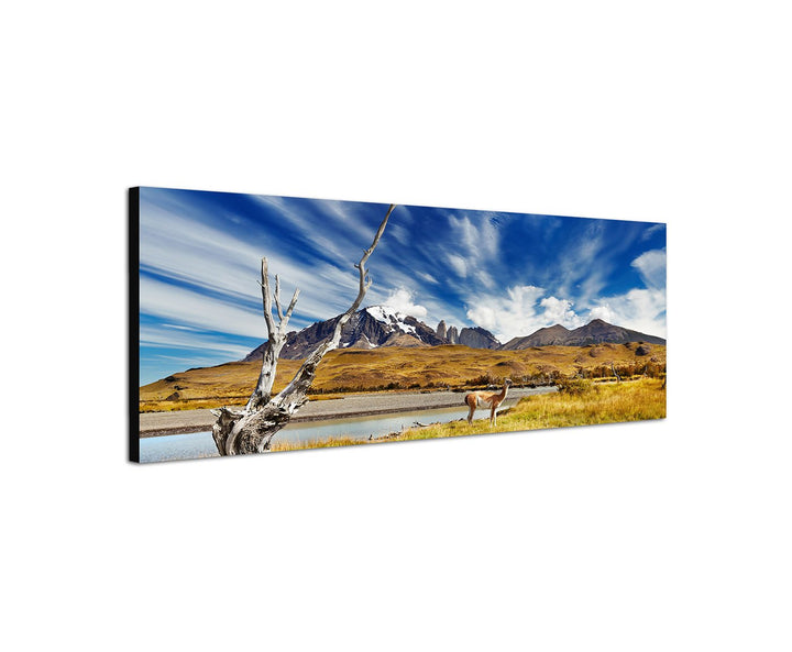 Augenblicke Wandbilder Leinwandbild als Panorama in 150x50cm Chile Patagonien Nationalpark Landschaf