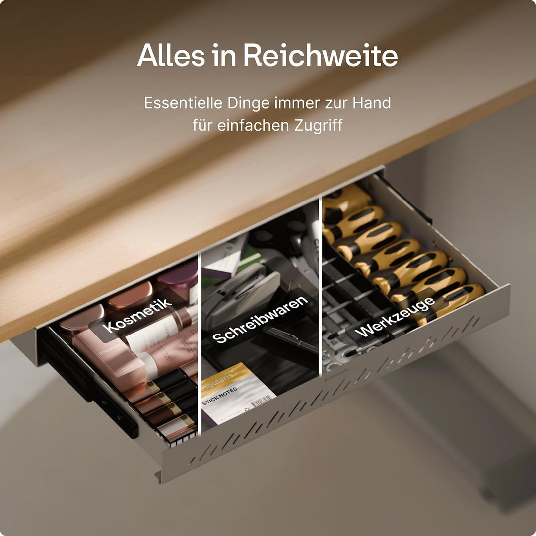 Desktronic Schreibtisch-Organizer, Untertisch-Aufbewahrungsbox, Schreibtisch für Büro Schule Homeoff