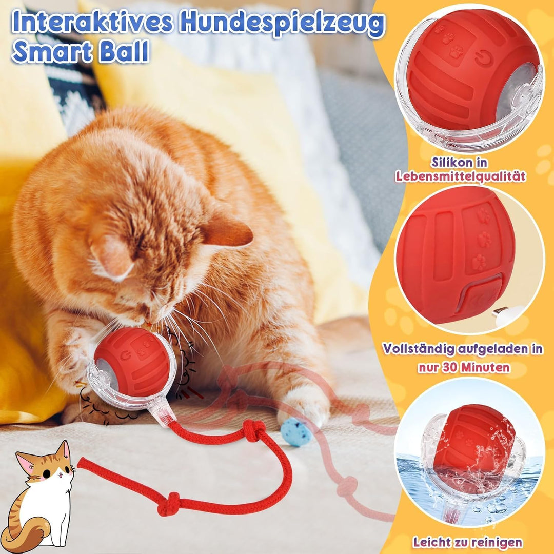 Interaktives Katzenspielzeug Spielzeug, Elektrisch Katzenspielzeug Ball interaktives Spielzeug mit S