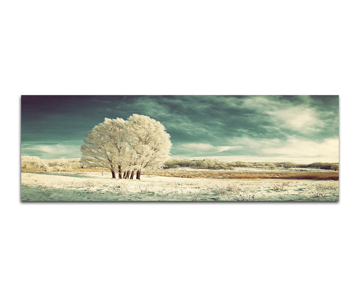 Paul Sinus Art Panoramabild auf Leinwand und Keilrahmen 150x50cm Winterlandschaft Wiese Baum Schnee
