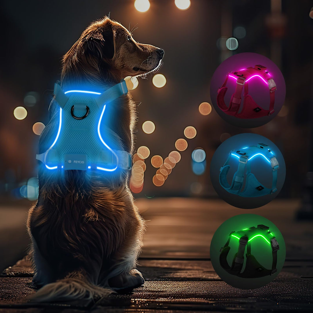 Light Up Dog Hundegeschirr Leuchtend LED Aufladbar - Leuchtgeschirr Leuchtend für Klein Mittelgrosse
