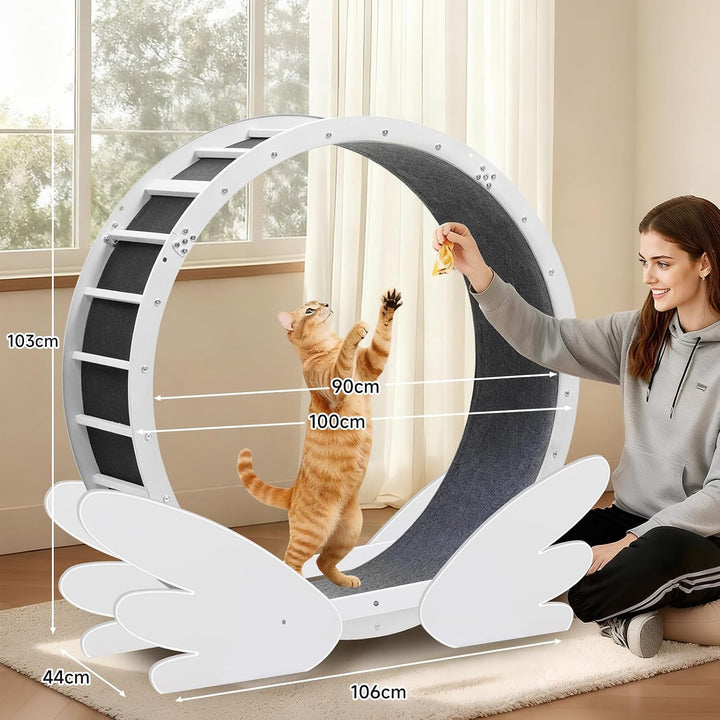 GTPLAYER Katzenlaufrad, laufrad Katze, Extra grosser 100 cm, ultraleises Laufrad mit Abnehmbarer Tep