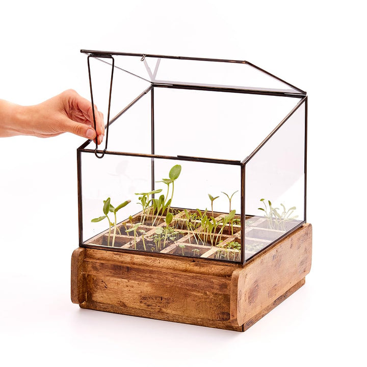 Modernes Gewächshaus als Deko, für Anzucht & für Kräuter | Aus Glas, recyceltem Holz und Metall | Zi