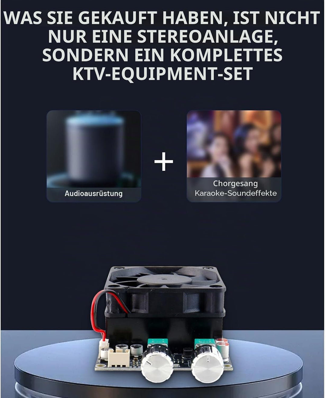 SEAFRONT Verstärkerplatine, Verstärkerplatine, Aktiver Subwoofer, 600 W Tiefpassfilter, Einkanal-Sub