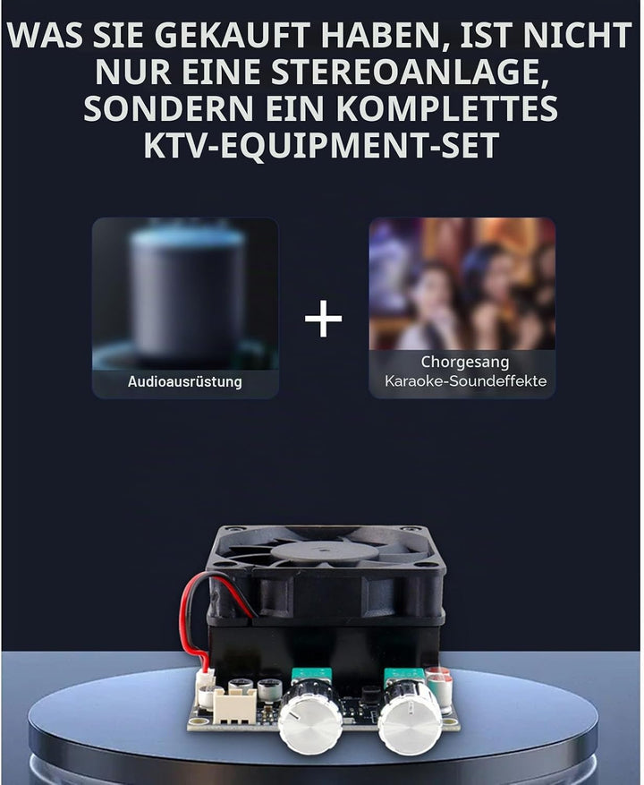 SEAFRONT Verstärkerplatine, Verstärkerplatine, Aktiver Subwoofer, 600 W Tiefpassfilter, Einkanal-Sub