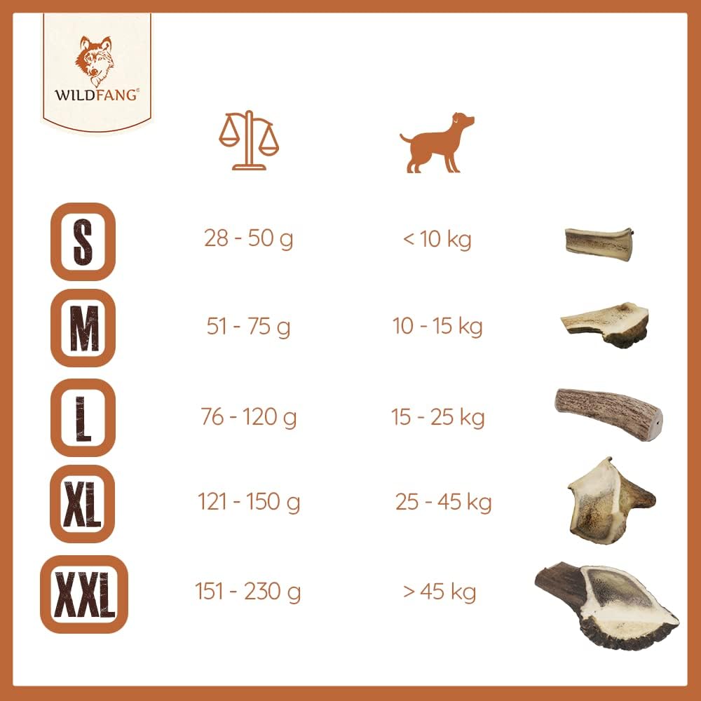 Wildfang® halbe Kaustange vom Rothirsch Geweih Hunde Kausnack | Abwurfstange aus EU | Zahnpflege | H