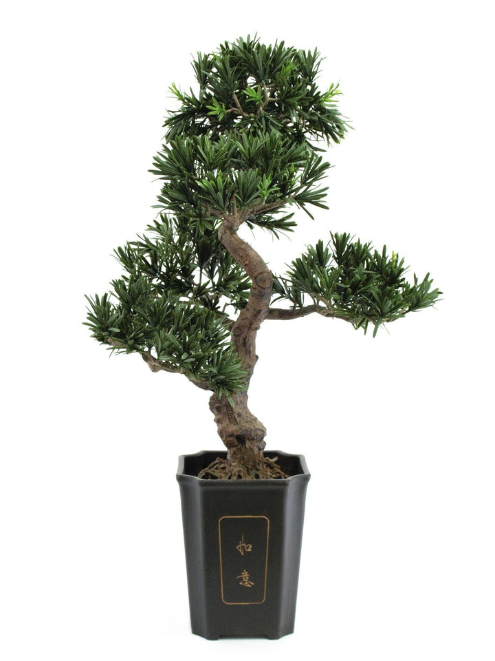 Euro Palms Wohnaccessoires & Deko, Grün