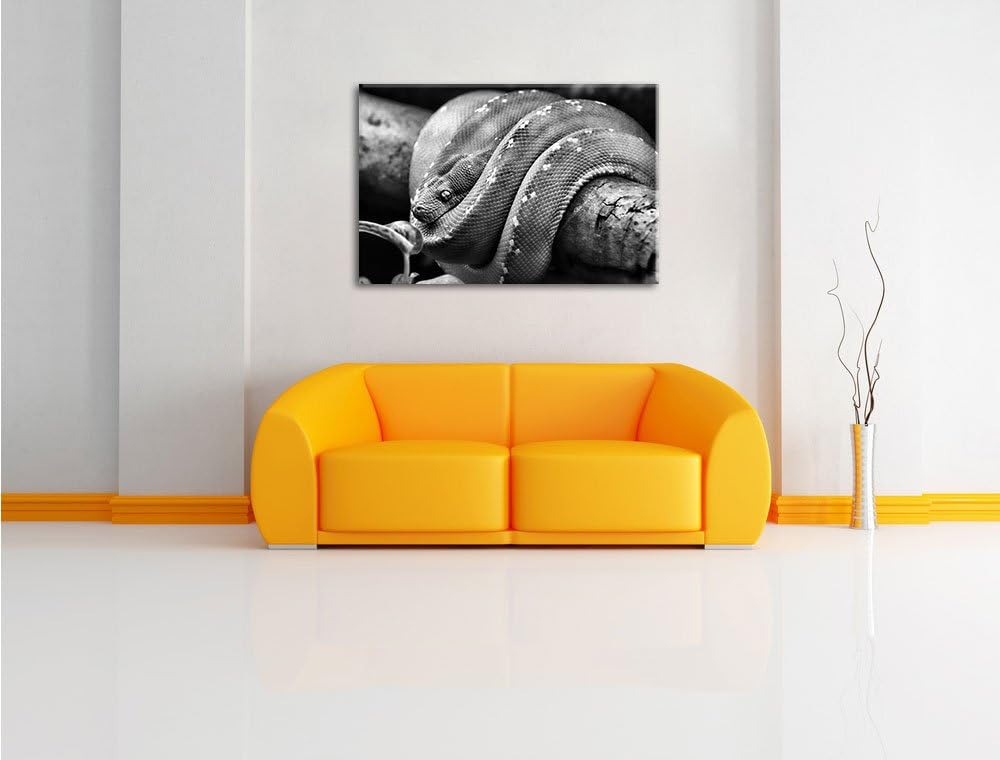 Pixxprint Grüne exotische Schlange als Leinwandbild/Grösse: 100x70 cm/Wandbild/Kunstdruck/fertig bes