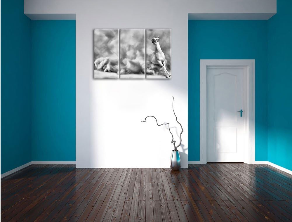 Pixxprint weisses Pferd in der Wüste als Leinwandbild/Grösse: 3 Teilig (120x80) cm/Wandbild/Kunstdru