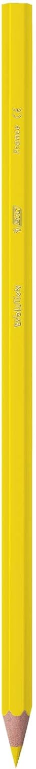 BIC Kids Evolution Buntstifte, Dose mit 60 Stück 60 Stück (1er Pack), 60 Stück (1er Pack)