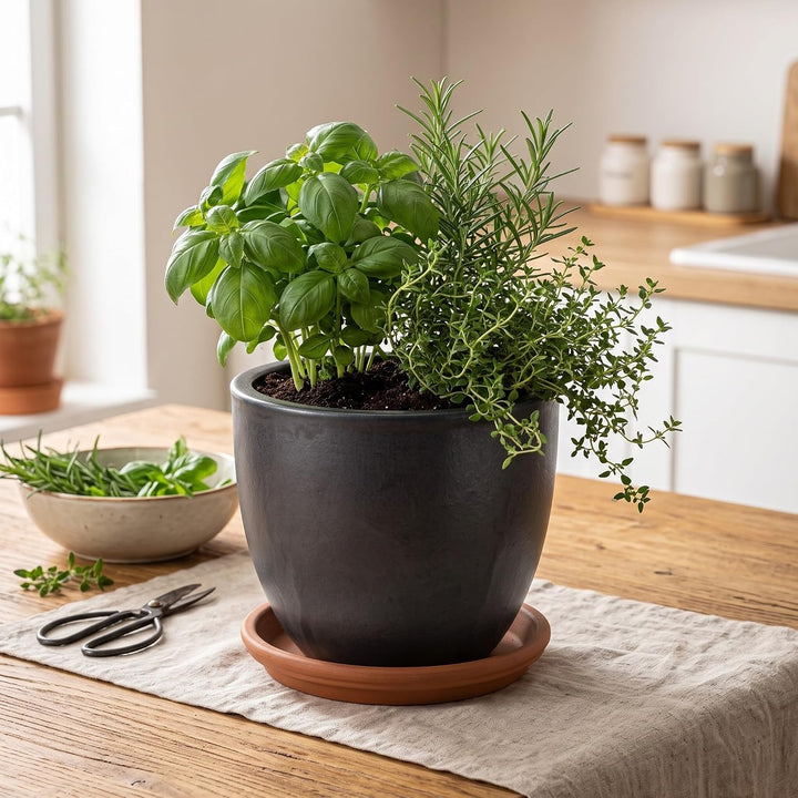 Teramico Blumentopf mit Untersetzer Keramik Pflanztopf Set (Anthrazit/TC) Anthrazit / Tc, Anthrazit