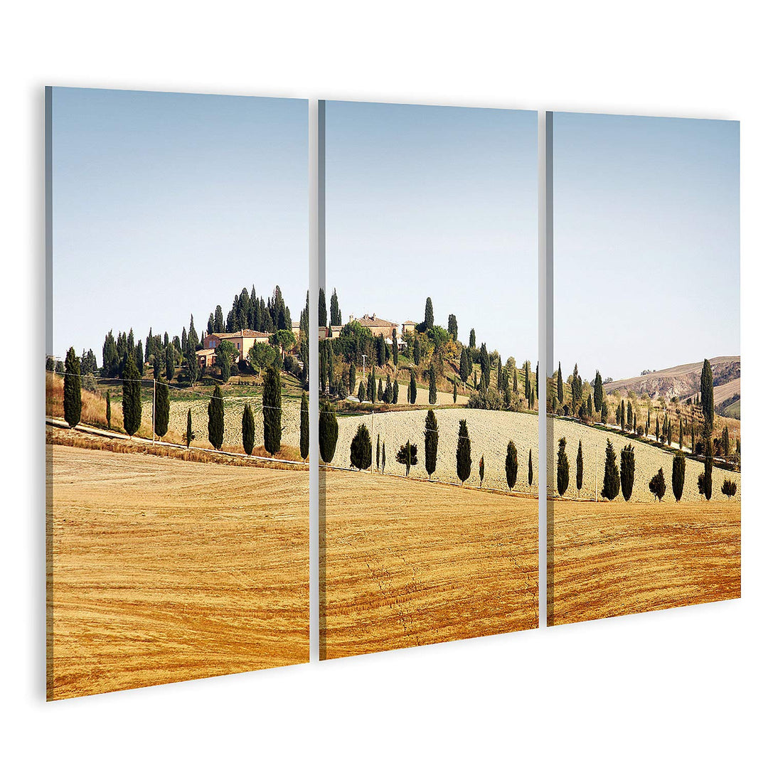 islandburner Bild auf Leinwand Typische Landschaft In Der Toskana Im Herbst Bilder Wandbilder Poster