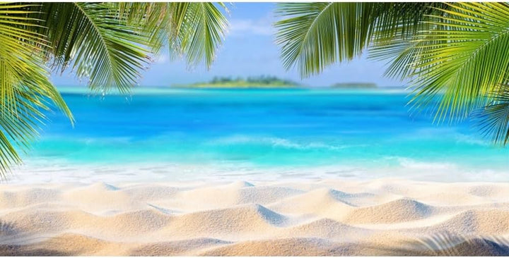 Renaiss 6x3m Hawaii Ozean Sandstrand Hintergrund Tropische Küste Palmen Naturfotografie Hintergrund