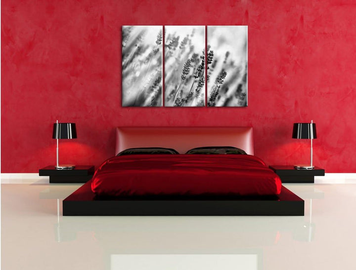 Pixxprint Schöner Lavendel im sanften Licht als Leinwandbild/Grösse: 3 Teilig (120x80) cm/Wandbild/K