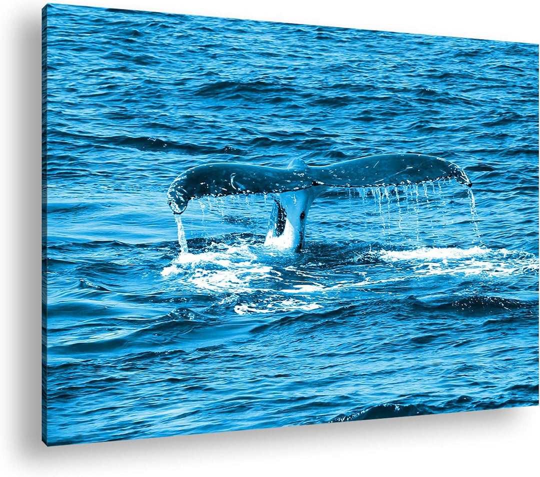 deyoli Schwanzflosse eines Wales Format 80x60 Effekt: Monocrome Blau als Leinwandbild, Motiv fertig