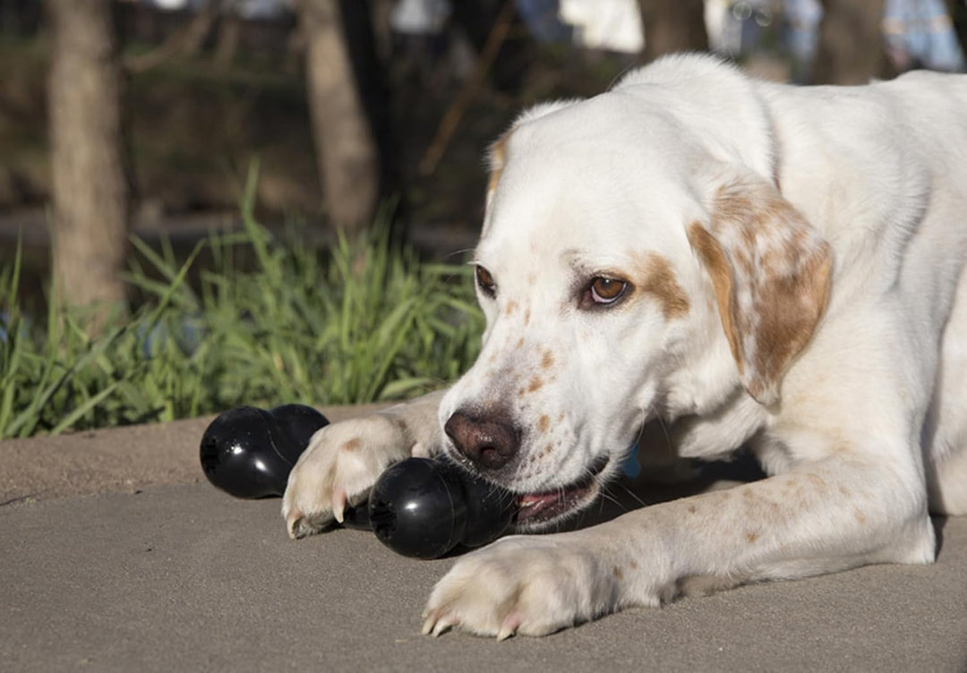 KONG Extreme Goodie Bone - Langlebiger Hundeknochen aus Naturkautschuk für Hunde mit starkem Biss -