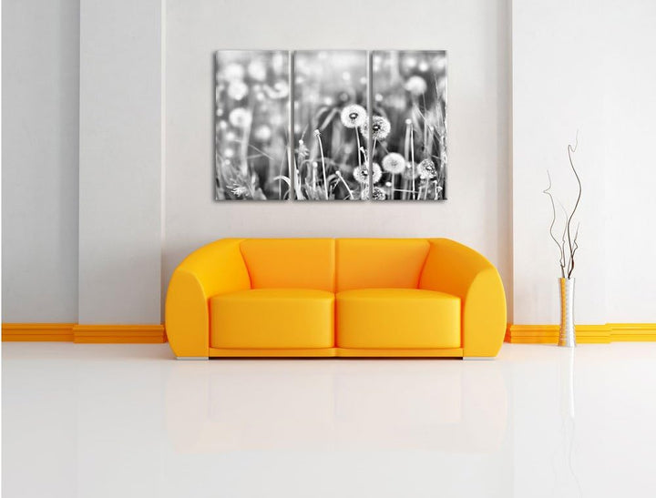 Pixxprint Pusteblumen auf Frühlingswiese als Leinwandbild/Grösse: 3 Teilig (120x80) cm/Wandbild/Kuns
