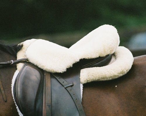 Engel Reitsport Lammfell Sattelsitzbezug englisch Farbe med. (Sabez 1) Weiss L (52 cm Länge) (ab 18,