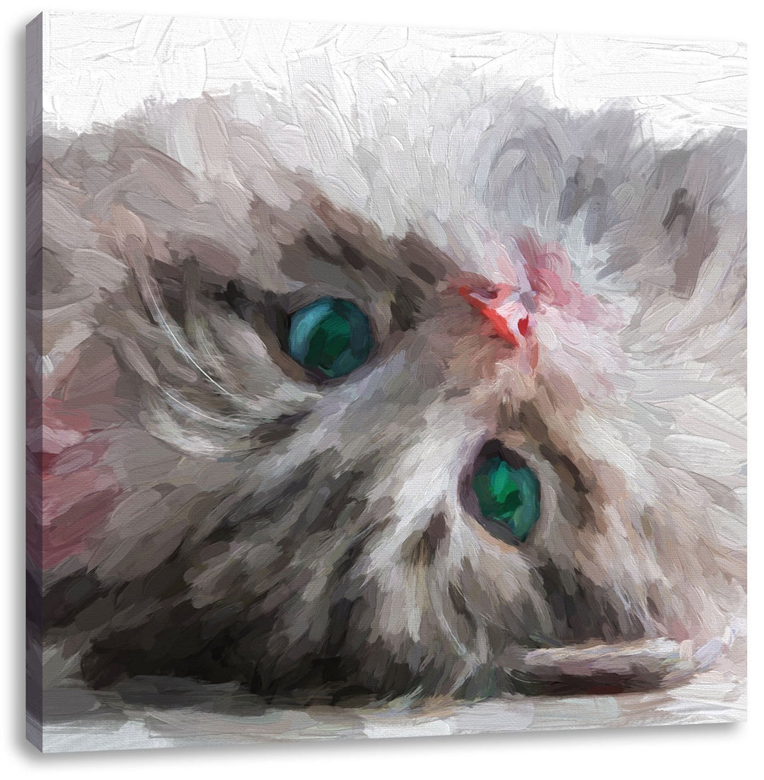 Pixxprint Süsses Katzenbaby als Leinwandbild/Grösse: 70x70 cm/Wandbild/Kunstdruck/fertig bespannt, 7