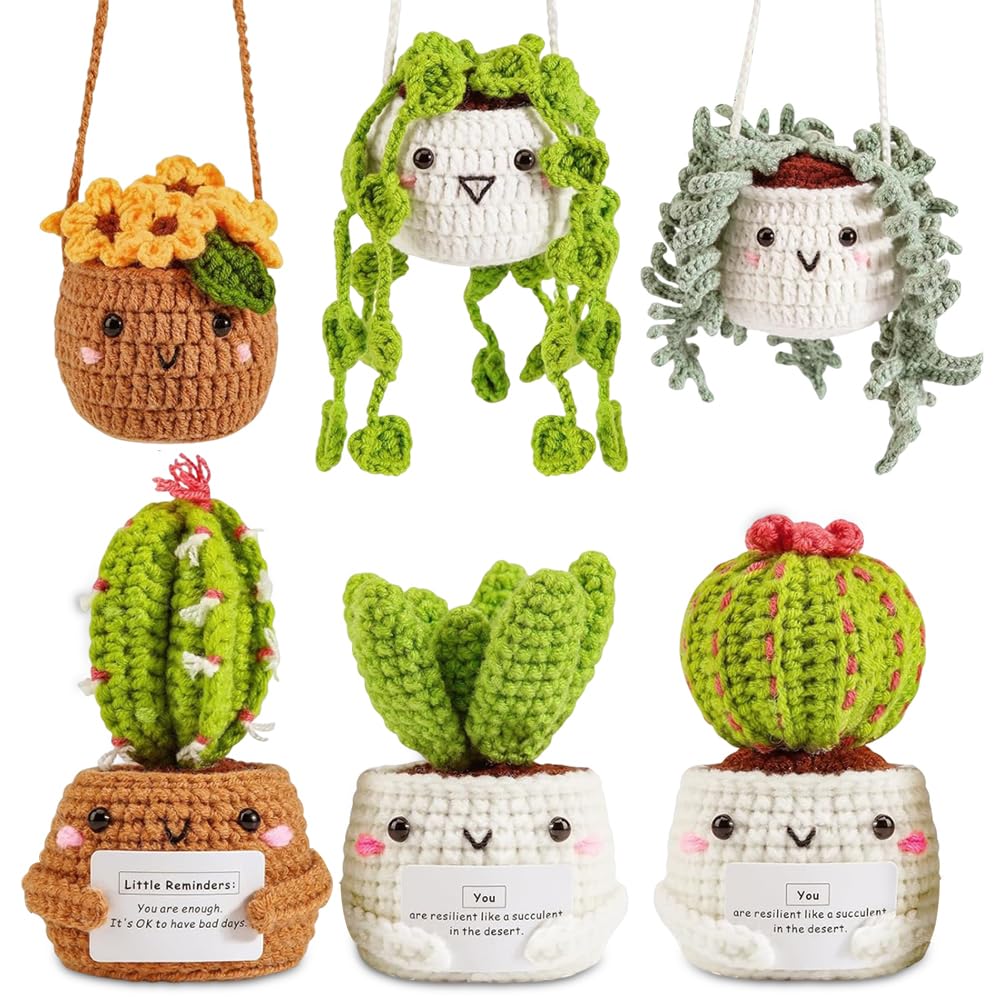 WDKXCN Häkelset für Anfänger, 6 Stück Stricken für Anfänger Set, Kaktus Häkeln für Anfänger, Crochet