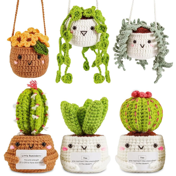 WDKXCN Häkelset für Anfänger, 6 Stück Stricken für Anfänger Set, Kaktus Häkeln für Anfänger, Crochet