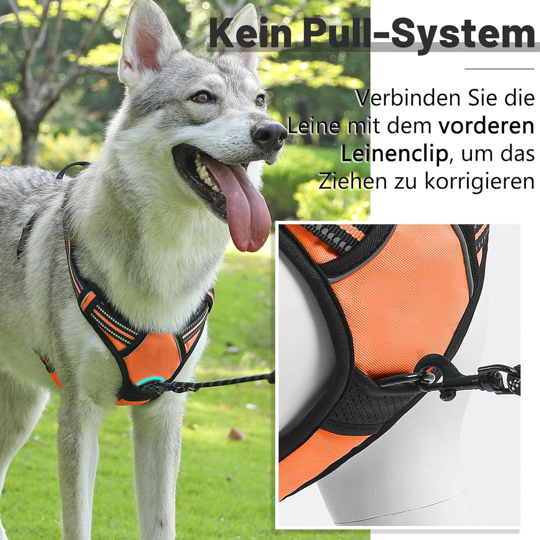 Hundegeschirr Mittelgrosse Grosse Hunde, Anti Zug Hundegeschirr Gepolstert mit Griff, Atmungsaktiv R
