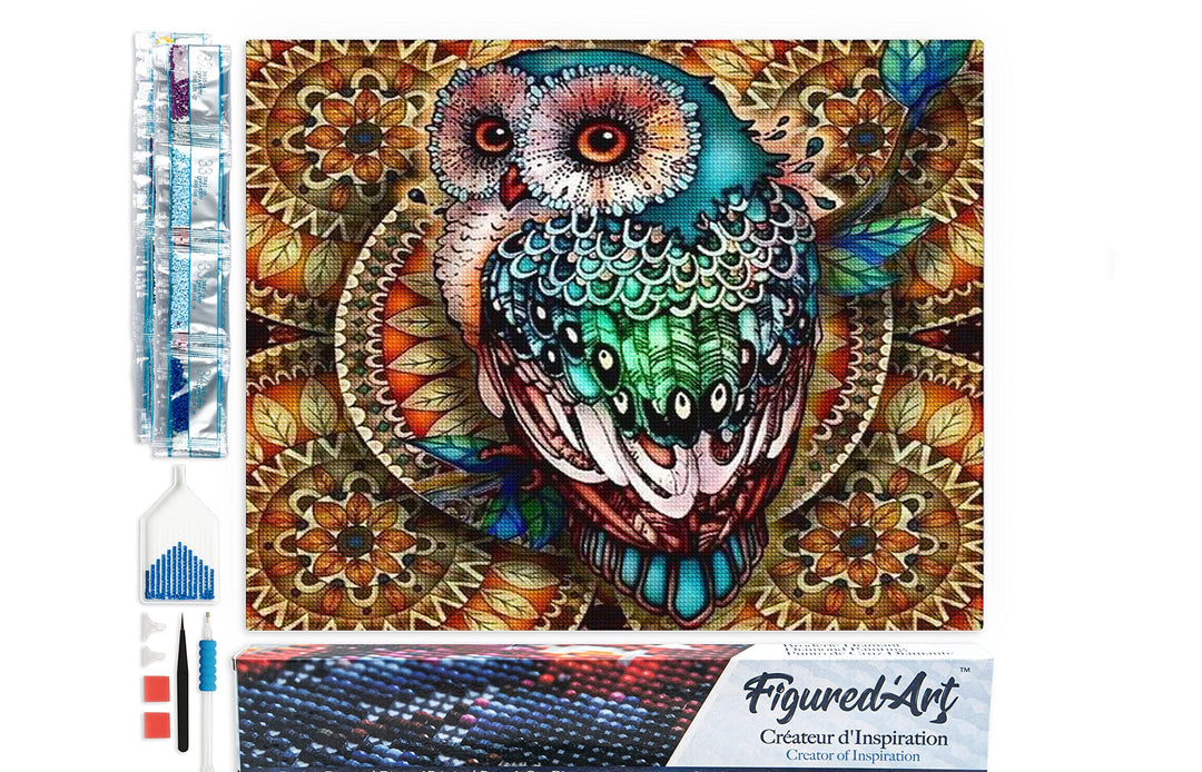Figured'Art Diamond Painting Erwachsene 40x50cm Ganze Leinwand gerollt Märchenhafte Eule 5D Bilder E
