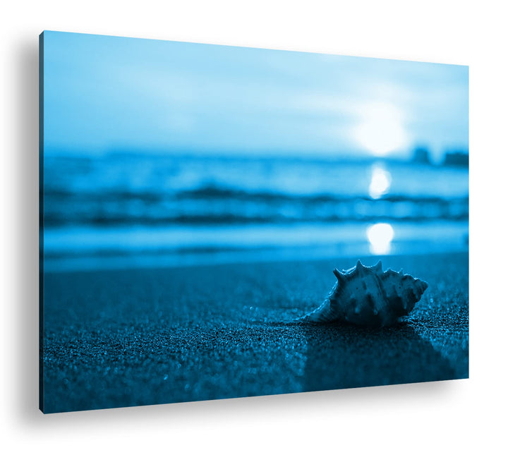 deyoli einzelne Muschel am Strand Format 80x60 Effekt: Monocrome Blau als Leinwandbild, Motiv fertig