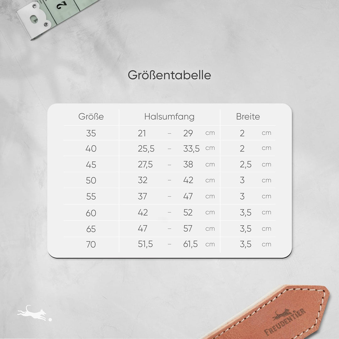 FREUDENTIER® Hundehalsband aus Leder, Made in Holland, gefüttert & super komfortabel, hochwertiges b