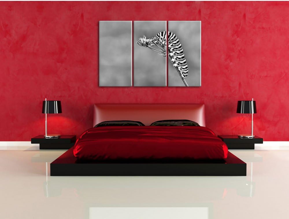 Pixxprint Monocrome, Grüne Raupe auf AST Insekten Urwald Tiere 3-Teiler Leinwandbild 120x80 Bild auf