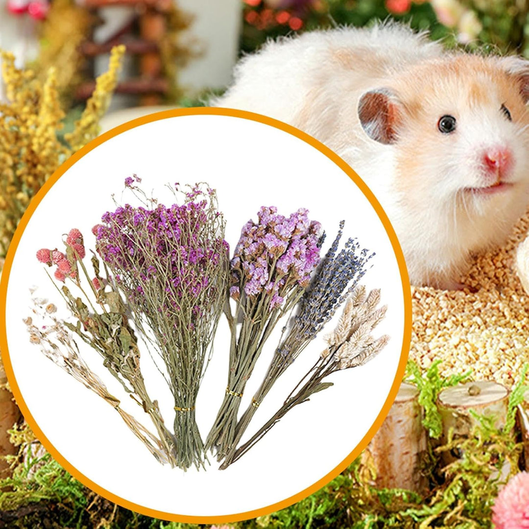 Trockenblumen-Bettwäsche für Hamster, natürliche Hamster-Bettwäsche, Kleintierblumen, Lebensraum-, L